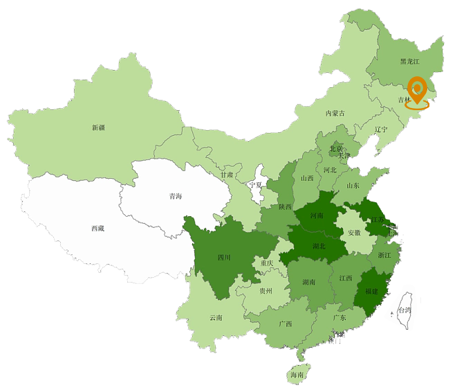 销售网络